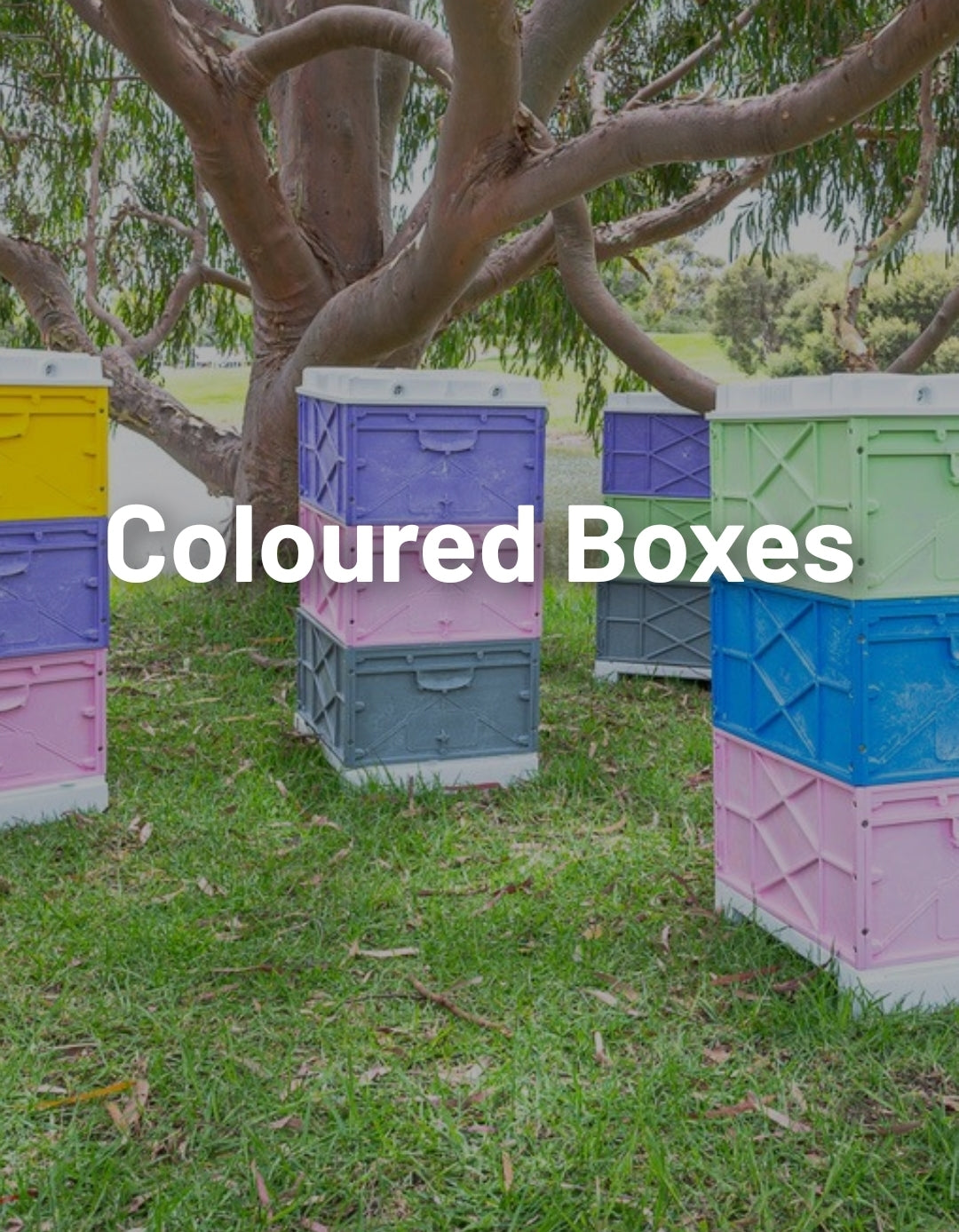 Nuplas Coloured 10 Frame Boxes