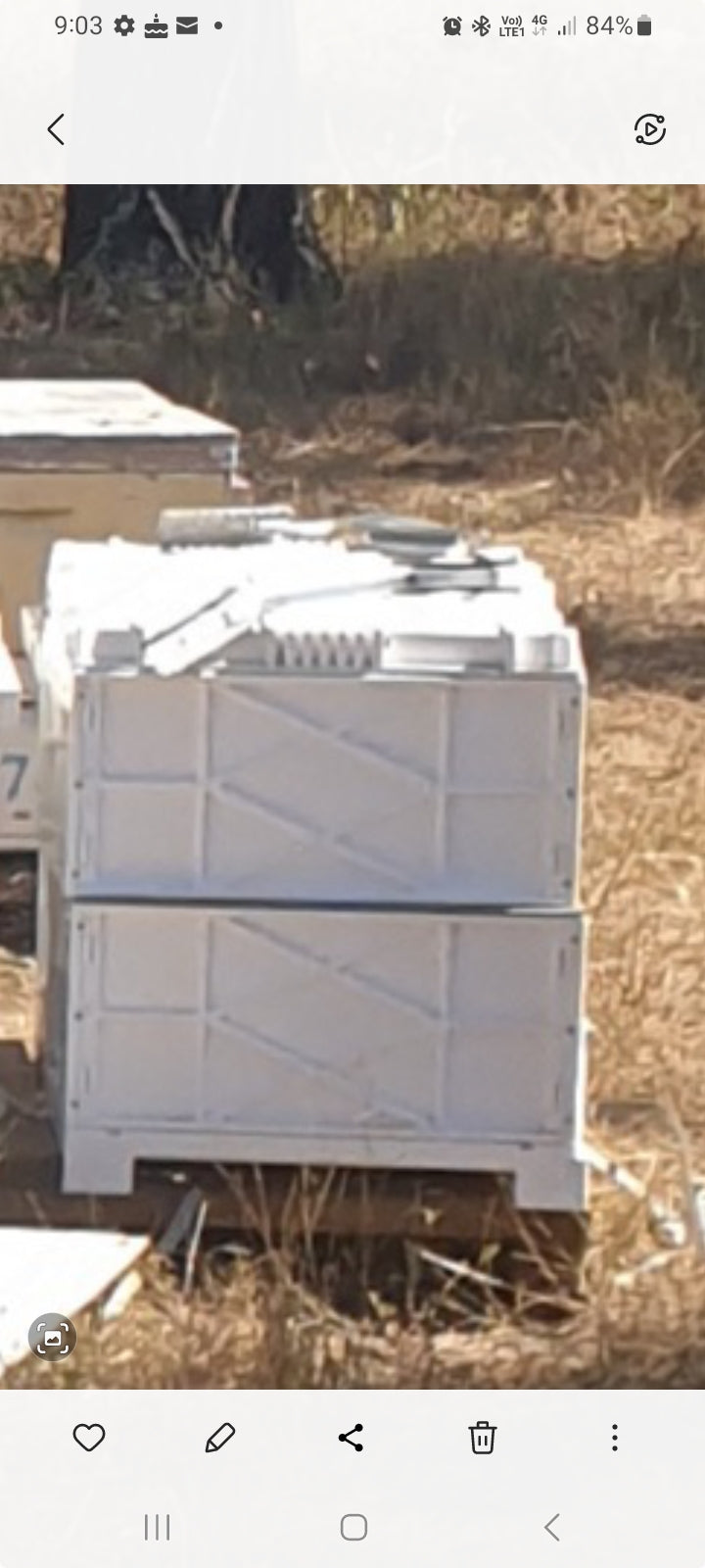 New Double Nuplas Beehive WITH BEES