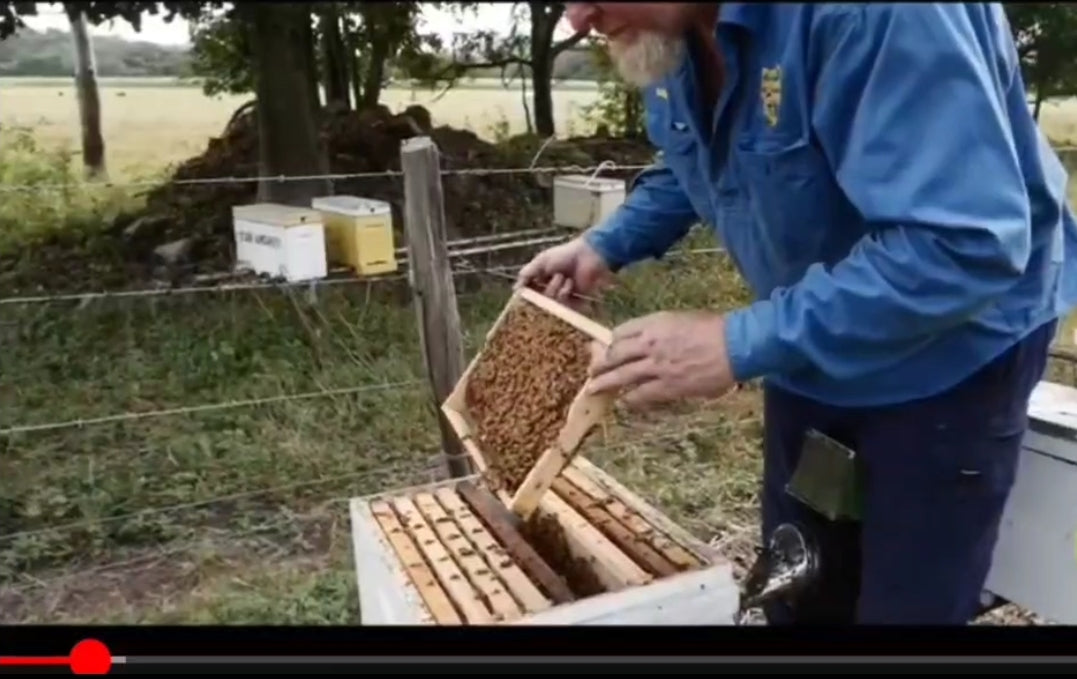 Load video: Pure n Natural Honey - About Us
