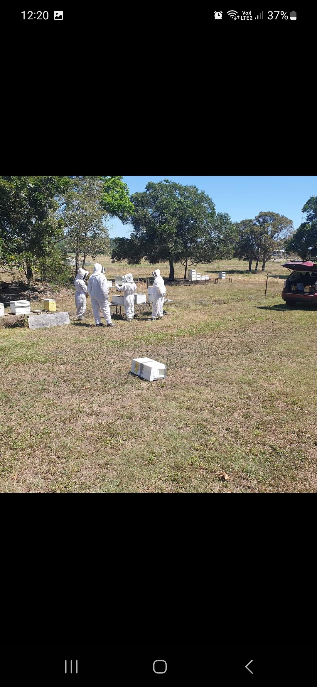 Hands On Beekeeping Training On Site - Bees