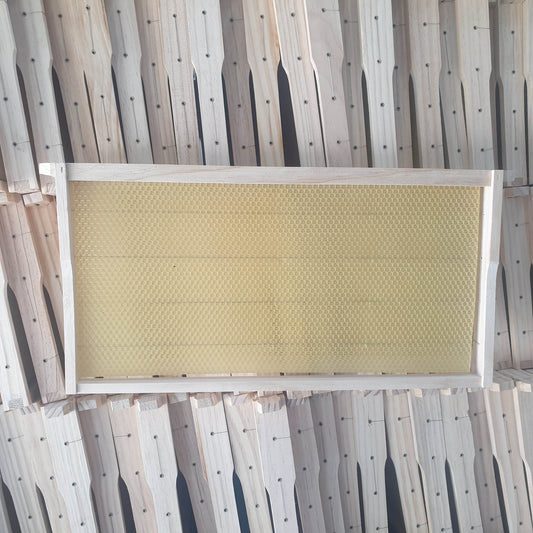 FD Frame With Foundation